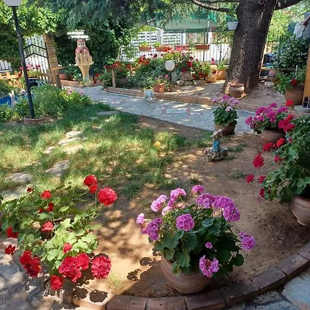 Handmade Peaceful Cozy House Near The Holiday home *