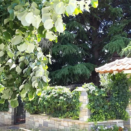 別荘 Handmade Peaceful Cozy House Near The